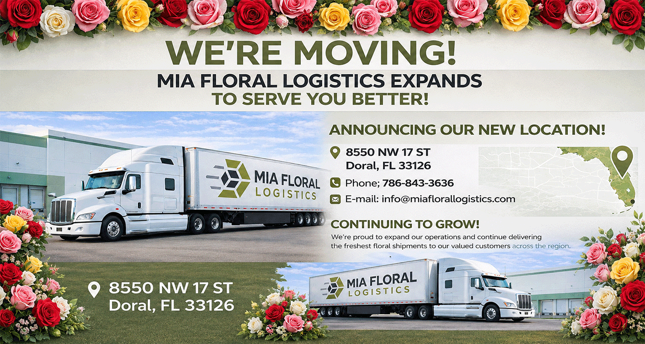 GROUND TRANSPORTATION SERVICES WORLDWIDE